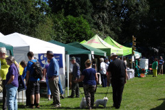 Green-Fair-3-2016