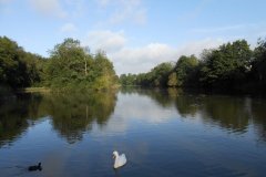 Visit the parks of Earley this summer 
