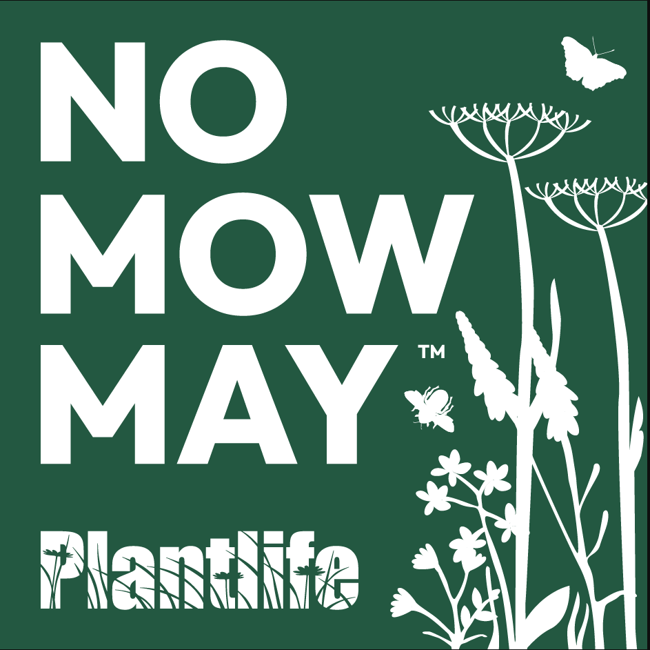 No Mow May Earley Town Council